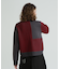 ＤＳ　Ｌ－Ｌ／Ｓ　ＭＥＬＡＮＧＥ　ＳＷＩＴＣＨＩＮＧ　ＫＩＮ