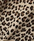 《WOMAN》LEOPARD LOGO MA-1