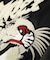 VARSITY JACKET TIGER