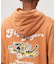 FLYING TIGER PULLOVER PARKA