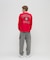 Ｌ／Ｓ　ＳＩＧＮＡＴＵＲＥ　ＶＡＲＳＩＴＹ　ＬＯＧＯ　ＴＥＥ