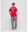 Ｓ／Ｓ　ＳＩＧＮＡＴＵＲＥ　ＶＡＲＳＩＴＹ　ＬＯＧＯ　ＴＥＥ
