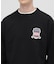 ＳＩＧＮＡＴＵＲＥ　ＶＡＲＳＩＴＹ　ＬＯＧＯ　ＳＷＥＡＴ