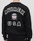 ＳＩＧＮＡＴＵＲＥ　ＶＡＲＳＩＴＹ　ＬＯＧＯ　ＳＷＥＡＴ