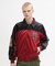 ＤＳ　ＡＷＡＲＤ　ＪＫＴ＂ＷＩＬＤ　ＢＥＡＲ＂