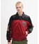 ＤＳ　ＡＷＡＲＤ　ＪＫＴ＂ＷＩＬＤ　ＢＥＡＲ＂