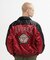 ＤＳ　ＡＷＡＲＤ　ＪＫＴ＂ＷＩＬＤ　ＢＥＡＲ＂