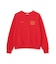 《直営店限定》RAGLAN SLEEVE USAF CREW SWEAT
