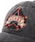 ＤＳ　Ｌ－ＳＴＡＲ　ＭＯＴＩＦ　ＣＡＰ