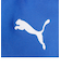 プーマ（PUMA）サッカー ソックス LIGA ストッキング 72987911 靴下