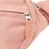 ジャンスポーツ（JANSPORT）フィフスアベニュー ウエストポーチ JS00TAN1 7N8