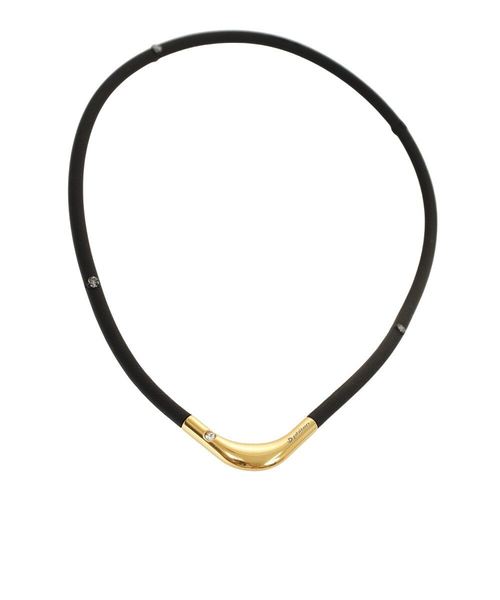 ファイテン（PHITEN）RAKUWA 磁気チタンネックレス S-2 45cm BK