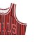 NBA シカゴブルズ デニスロッドマン ストライプ スイングマン タンクトップ SMJYBW19047-CBUPTRD97DRD M