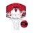 ウイルソン（Wilson）NBA バスケットボール ミニフープ・ブルズ WTBA1302CHI