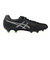 アシックス（ASICS）サッカースパイク 土 天然芝 人工芝用 サッカーシューズ DS ライト X-FLY PRO 1101A025.004