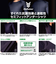 野球 アンダーシャツ ドライプラス抗菌ストレッチ丸首半袖Tシャツ YA2AB03-70 抗菌効果 吸汗速乾性 抗菌防臭 UVケア