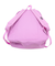ジャンスポーツ（JANSPORT）UNION PACK-Purple Orchid JS0A4NVC 7S4