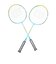 ウイルソン（Wilson）ジュニア バドミントンラケット MINIONS 2.0 JR BADMINTON SET 2 WR105710F2