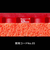 バタフライ（Butterfly）卓球ラバー テナジー05 ハード 06030-278 ブラック