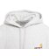 カーハート（CARHARTT）フーデットアメリカンスクリプトスウェットシャツ I028279482XX22FW