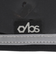 ディービーエス（DBS）リフト券ホルダー アームパスケース DBS-C4113 BLK