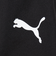 プーマ（PUMA）サッカーウェア ジュニア TEAMLIGA トレーニングショーツ 65780903 速乾