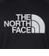 ザ・ノース・フェイス（THE NORTH FACE）ロングスリーブGTDロゴクルーシャツ NT12377 K