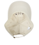ビラボン（BILLABONG）キャップ COTTON TWILL LOGO CAP  BD013910 SCS