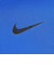 ナイキ（NIKE）Tシャツ 半袖 速乾 ドライフィット フィットネス DX0990-480