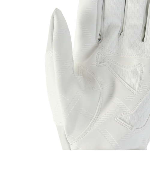 ミズノ（MIZUNO）バッティンググローブ 両手用 野球 高校野球対応