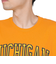 tシャツ 半袖 イエロー 黄 NCAA ARCH LOGO TEE MICHIG BMTRTP21133-UMIGOLD