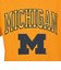 tシャツ 半袖 イエロー 黄 NCAA ARCH LOGO TEE MICHIG BMTRTP21133-UMIGOLD