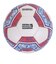 デュアリグ（DUARIG）サッカーボール 5号球 検定球 高周波 2S8667-AHBL-781IM WHRD