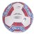 デュアリグ（DUARIG）サッカーボール 5号球 検定球 高周波 2S8667-AHBL-781IM WHRD