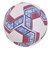 デュアリグ（DUARIG）サッカーボール 5号球 検定球 高周波 2S8667-AHBL-781IM WHRD