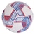 デュアリグ（DUARIG）サッカーボール 4号球 検定球 高周波 2S8668-AHBL-781IM WHRD