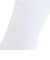 ディーシーシューズ（DC SHOES）23 CORPOLATE ソックス 23SPDSO231214WHT
