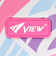 ビュー（VIEW）カラビナ付き 丸型ゴーグルケース VA1304 P