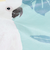 アロハ（Aloha）ミニポーチ Cockatoo Lounge 5800380120231