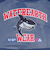 水泳 メッシュキャップ WATEREARTH RA523-LCMM04 NVRD