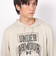 アンダーアーマー（UNDER ARMOUR）パーカー メンズ ライバルテリー グラフィック フーディー 1379766 289