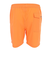 リーフ（REEF）水着 海パン ボードショーツ 7 VOLLEY SHORTS 2.0 LLサイズ RFWKM2301ORG-XL