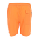 リーフ（REEF）水着 海パン ボードショーツ 7 VOLLEY SHORTS 2.0 LLサイズ RFWKM2301ORG-XL