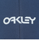 オークリー（OAKLEY）6 Panel Stretch Metallic Hat キャップ 912209-9QM 帽子 吸汗速乾