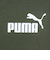 プーマ（PUMA）トレーナー キッズ PUMA POWER クルースウェット TR 677721 31 GRN