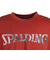 スポルディング（SPALDING）バスケットボールウェア 長袖Tシャツ ウォールペイント SMT23211 速乾 UVカット