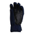 フェニックス（PHENIX）スキー スノーボード グローブ Space Hunter Gloves ESW23GL51 NAVY