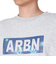 エアボーン（ARBN）スウェットシャツ 長袖 クルー AB23FWM-APP412LGRY