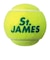 ダンロップ（DUNLOP）硬式用テニスボール St.JAMES セント・ジェームス SDGS 4ヶ入ボトル STJAMESJ4CS60