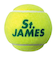 ダンロップ（DUNLOP）硬式用テニスボール St.JAMES セント・ジェームス SDGS 4ヶ入ボトル STJAMESJ4CS60